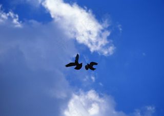 天空背景云层云彩