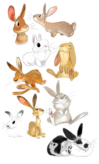 各种形态兔年