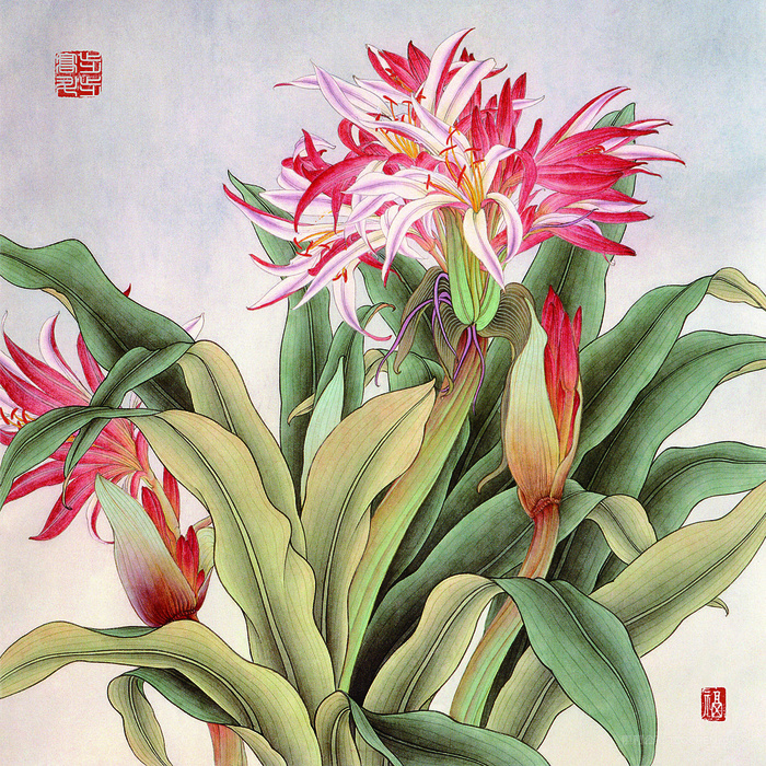 高清手绘花卉花束装饰画