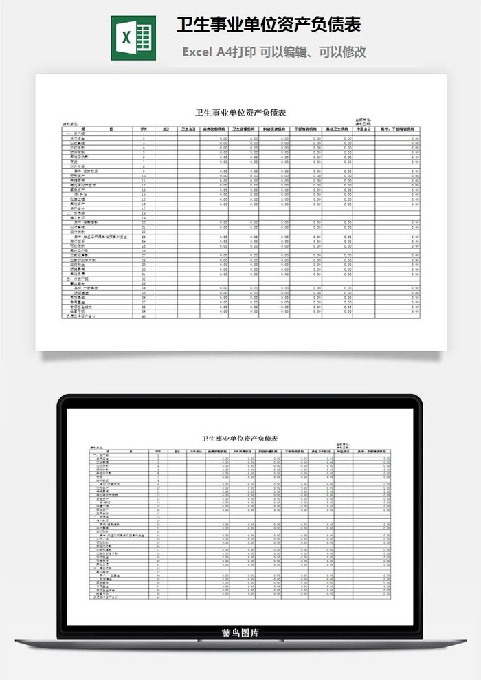 卫生事业单位资产负债表excel模板