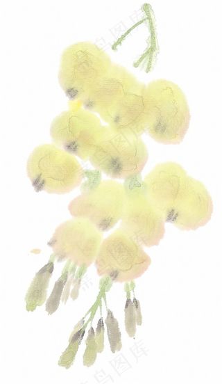 国画瓜果蔬菜鱼虾蟹国画摄影图片