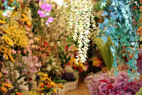 花店花卉图片 花店花卉图片
