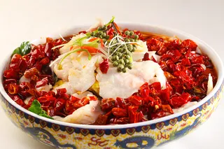 酸汤功夫鱼片 (13)