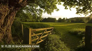 田园风光风景图片