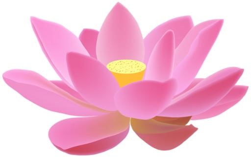 莲花 PNG免抠(600x377)