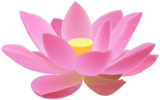 莲花 PNG免抠(600x377)