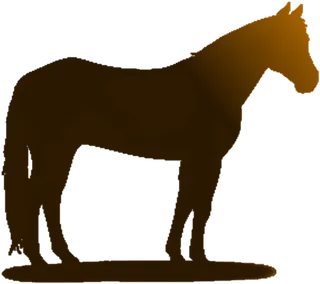 马匹剪影素材黑白