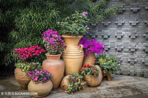 花园鲜花盛开的一角