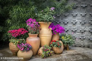 花园鲜花盛开的一角