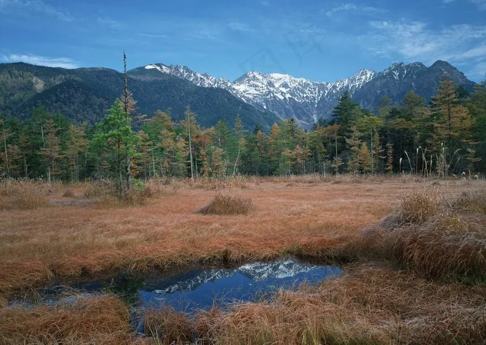 绿树山水 101