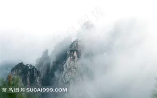 云雾朦胧中的生长着松树的黄山