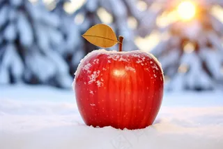 平安夜苹果圣诞节日摄影图