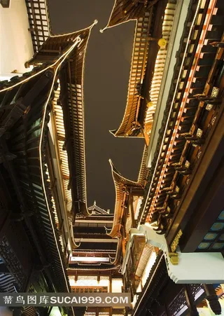 仰视中国古代建筑屋顶夜景