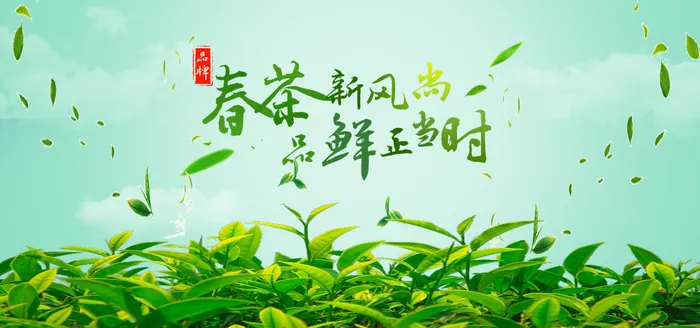 春茶上市茶叶素材psd模版下载