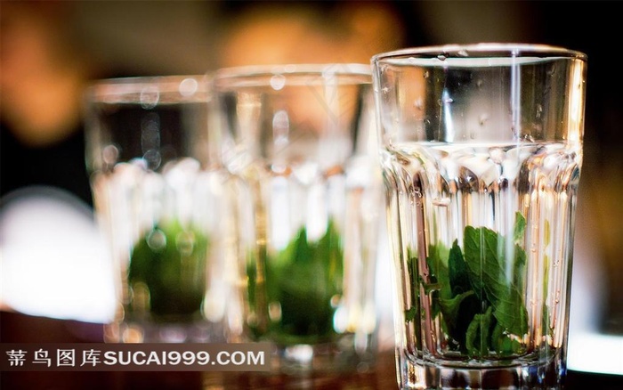 摄影杯子中的绿茶