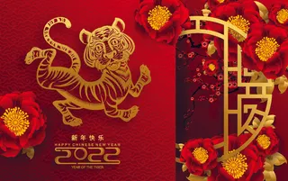 农历2022春节虎年新年快乐剪纸插画海报红色背景展板