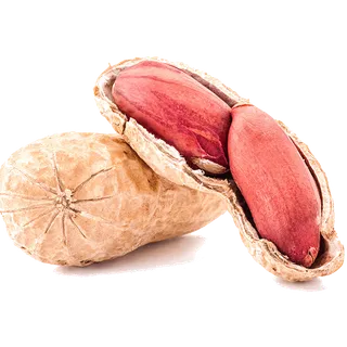 红花生干果超市商品白底图免抠实物摄影png格式图片透明底