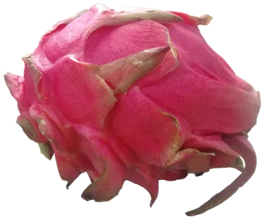 红绿新鲜火龙果免抠摄影元素素材