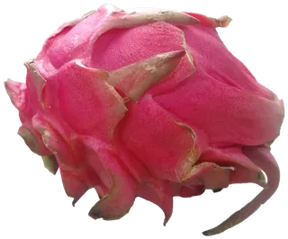 红绿新鲜火龙果免抠摄影元素素材