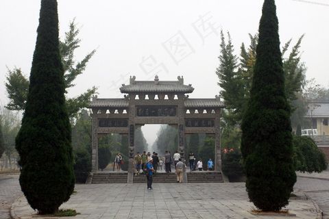 山门楼牌前的美人松