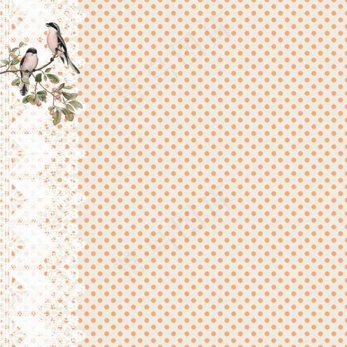 复古波点蕾丝边背景图片