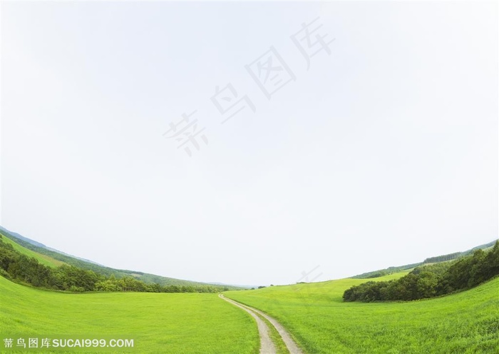 草地天空-蓝天下的草地