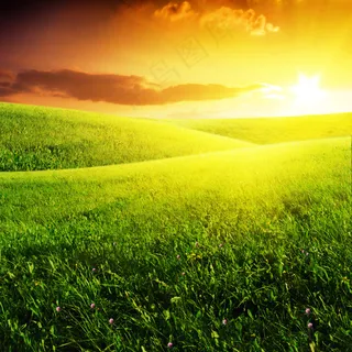 高清日出草地图片下载