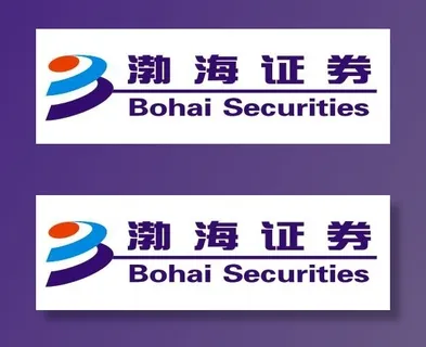 矢量渤海证券
