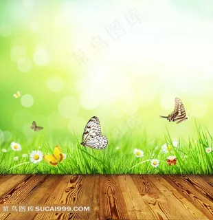 在草地上的翩翩起舞的蝴蝶风景