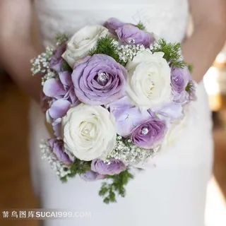手捧玫瑰花摄影图片 手捧玫瑰花摄影图片