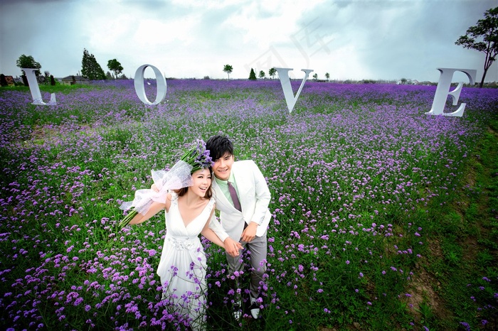 浪漫薰衣草甜蜜恋人婚纱摄影图