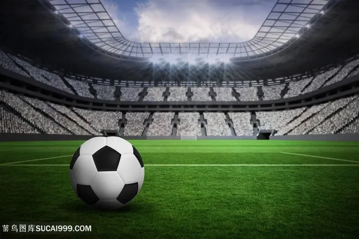 宏大足球场场地