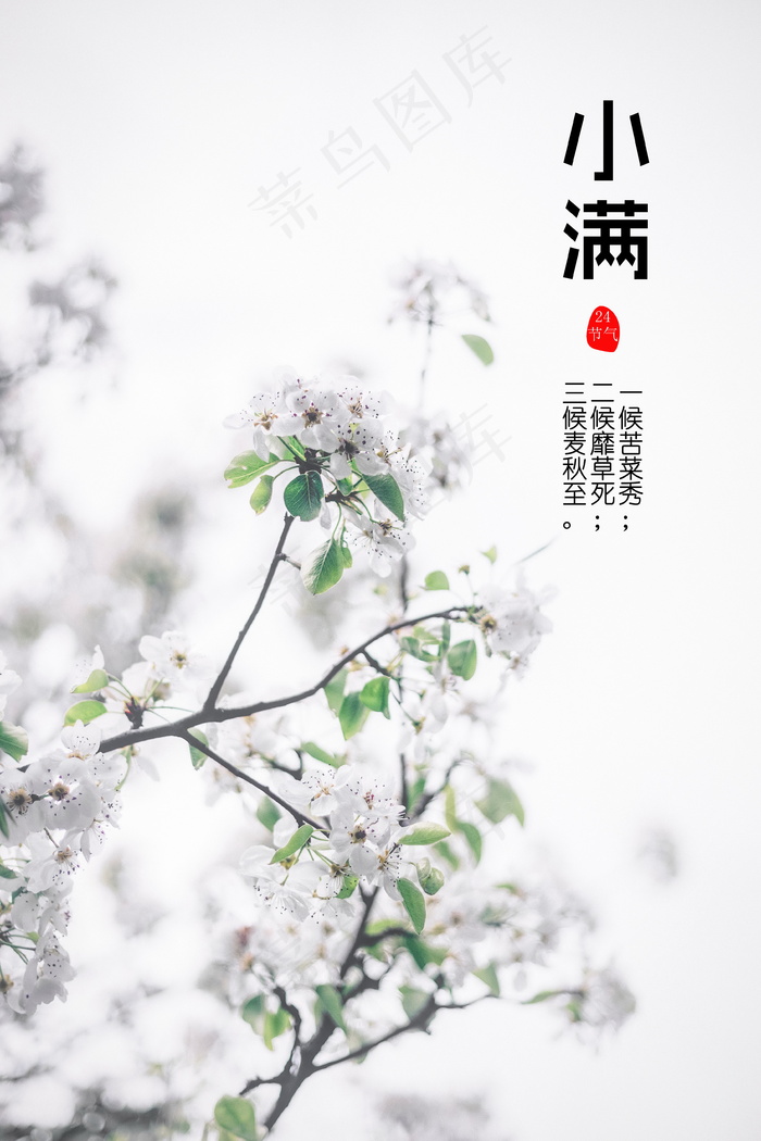 小满24节气图片