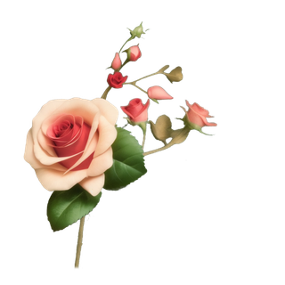 玫瑰花免扣装饰花