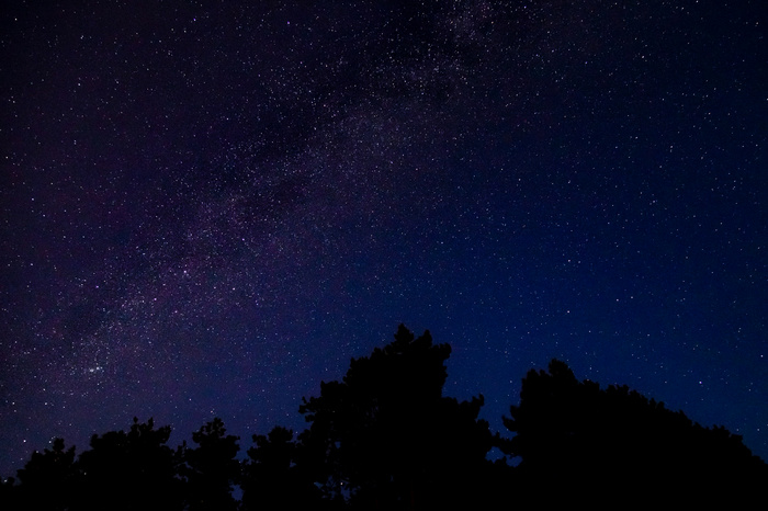 高清唯美星空夜空山林