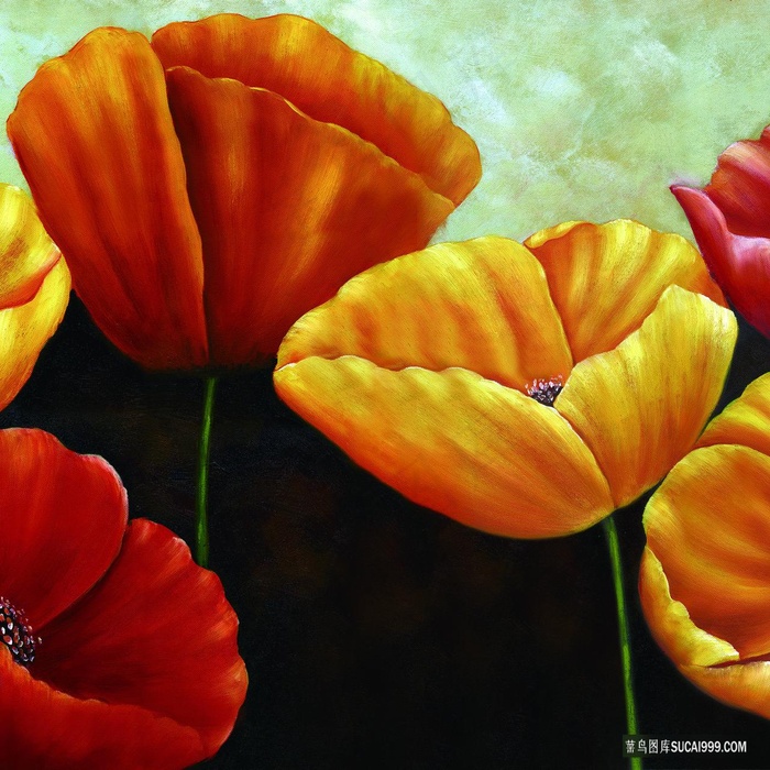 唯美高清花卉花朵油画