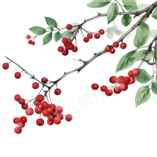 红色果实树枝免抠
