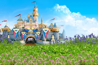 欧式花卉儿童背景