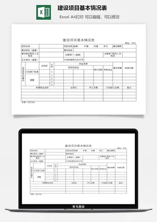 建设项目基本情况表excel模板