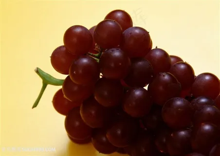 葡萄顶部高清特写 葡萄顶部高清特写