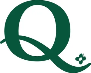 字母Q PNG免抠