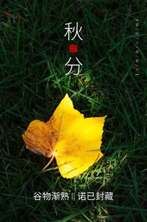 创意秋分营销活动模板