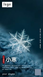 小寒节气海报