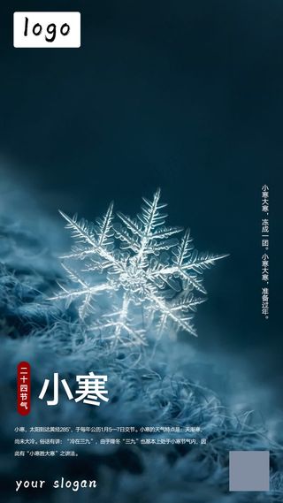 小寒节气海报