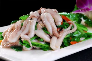 XCXC0765大热-韭香八爪鱼