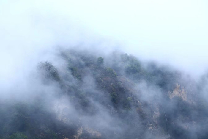 雾中群山图