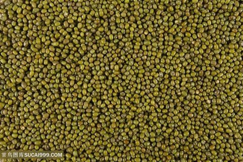 唯美绿豆素材图片