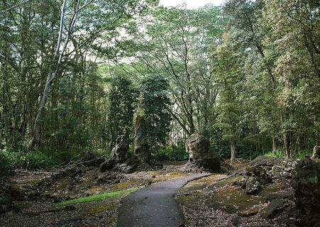 绿树山水 265 绿树山水 265