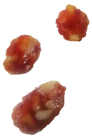 广味香肠广式风味甜肠独立切片免抠摄影元素素材