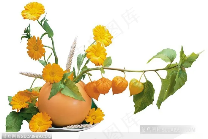 花艺花束-小巧的黄色小花